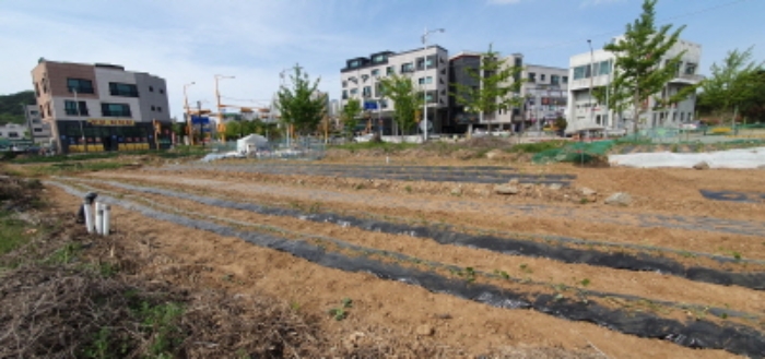 해당 토지 원경(앞쪽 812-2번지, 중간부분 본건 토지(182-1), 뒷부분 812번지)