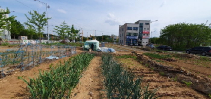 해당 토지 원경(앞쪽 812번지, 중간부분 본건 토지(182-1), 뒷부분 812-2번지)