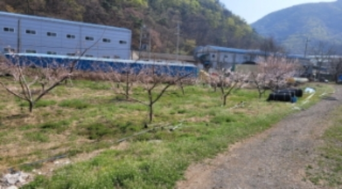 경산시 남천면 산전리 670-2.지상의 답의 전경