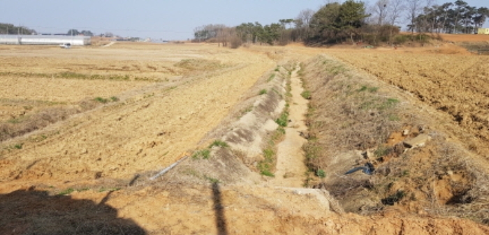 목록1.토지(구거 및 좌측의 답, 서쪽 경계에서 동쪽 경계를 바라본 모습)