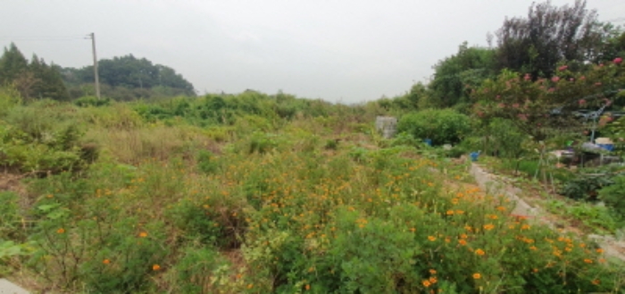 목록1 토지 전경