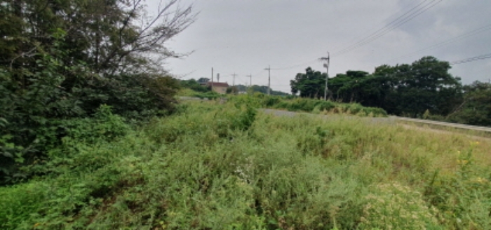 목록2 토지 전경