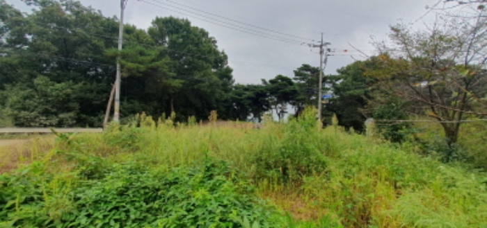 목록2 토지 전경