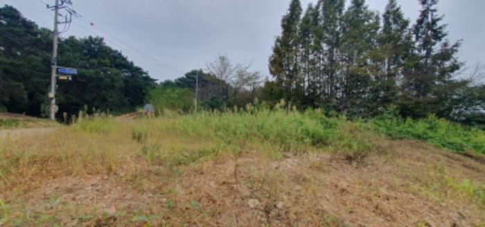 목록2 토지 전경