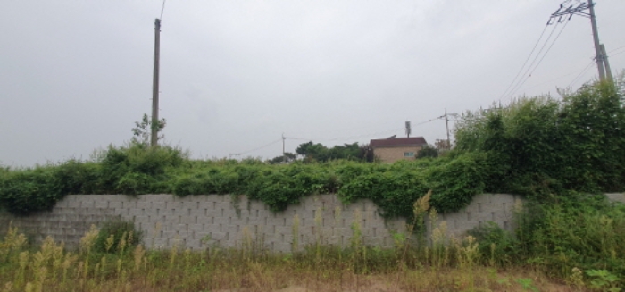 목록4 토지 전경