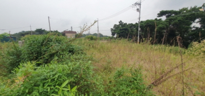 목록4 토지 전경