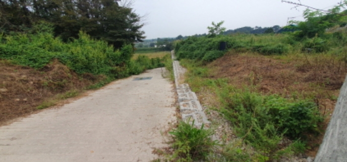 목록6 토지 전경 (현황 도로)