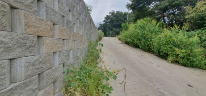 목록6 토지 전경 (현황 도로)