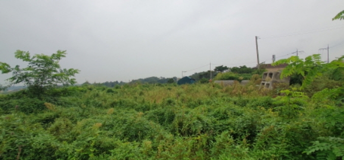 목록7 토지 전경