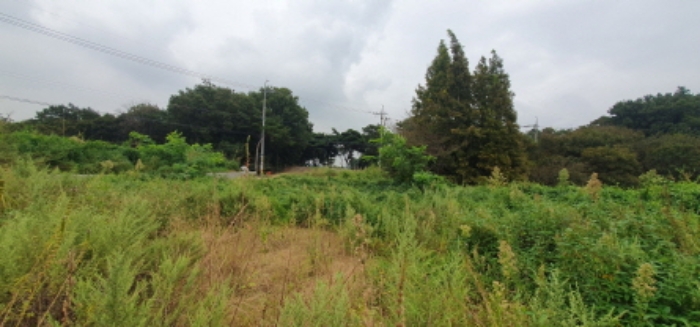 목록7 토지 전경