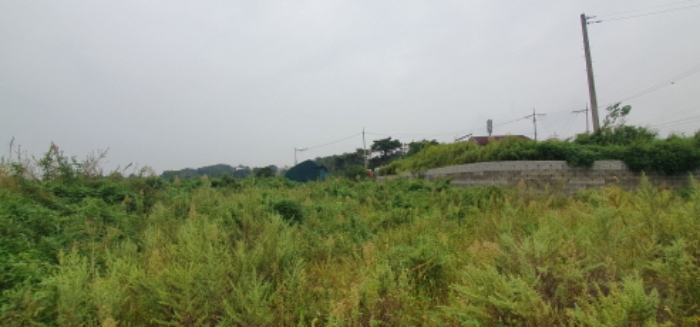 목록7 토지 전경