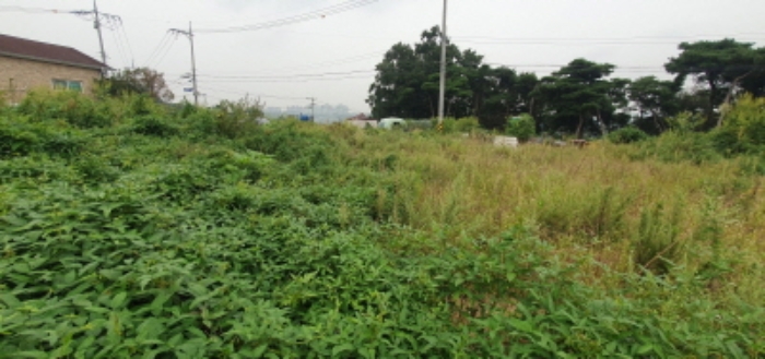 목록1 토지 전경