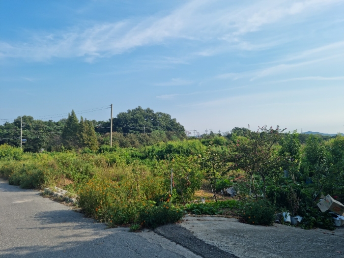 본건 기호(1) 북서측에서 촬영