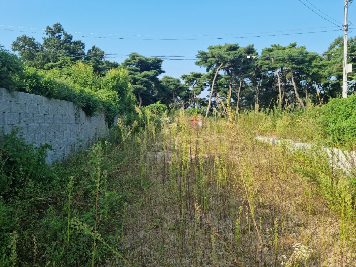 본건 기호(3) 남측에서 촬영