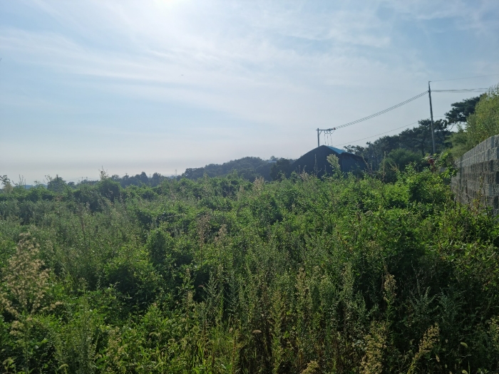 본건 기호(7) 북측에서 서측으로 촬영