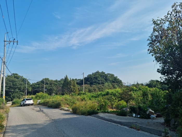 본건 기호(1-7) 북서측에서 촬영