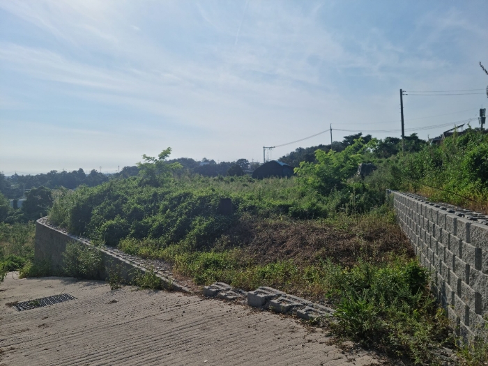 본건 기호(5,6) 북동측에서 촬영