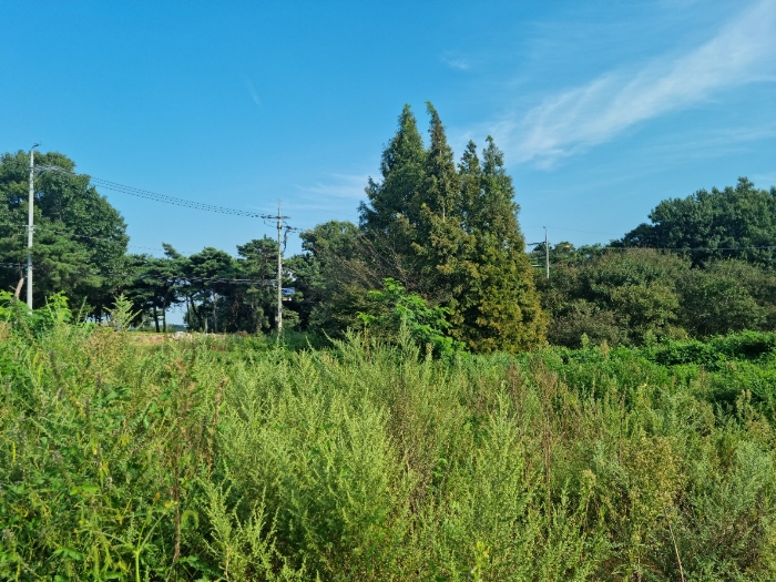 본건 기호(7) 북측에서 동측으로 촬영