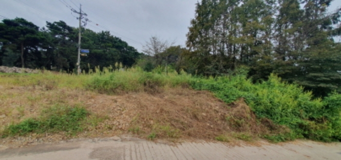 목록2 토지 전경