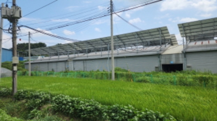 목록1 토지 및 목록5,6 버섯재배사 전경