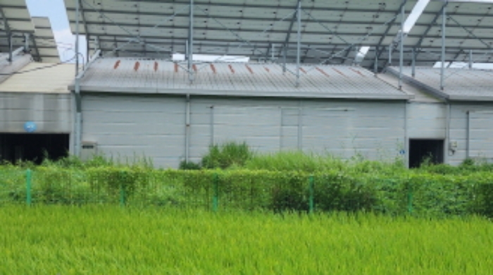 목록2 버섯재배사