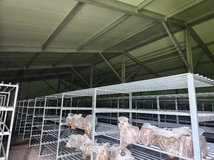 대상물건 건물 내부 일부