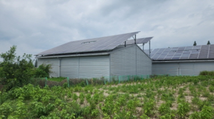 목록4 버섯재배사