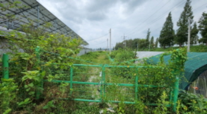 목록7 토지 전경