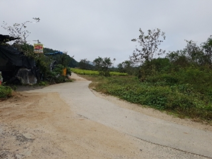 제시부동산 목록1번 진입로부분3