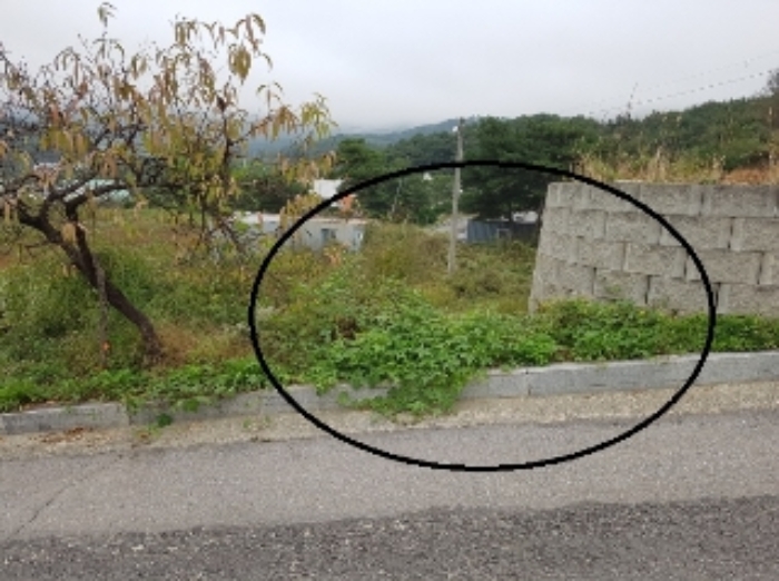 제시부동산 목록11번