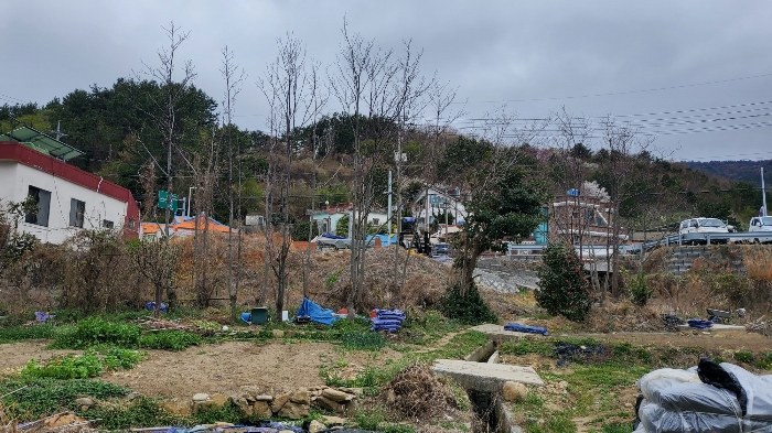 [ 본건 전경