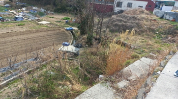 목록 2