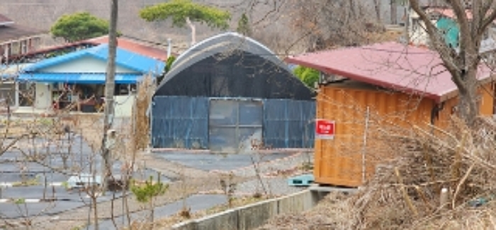 5부동산 지상에 소재하는 비닐하우스와 컨테이너의 모습
