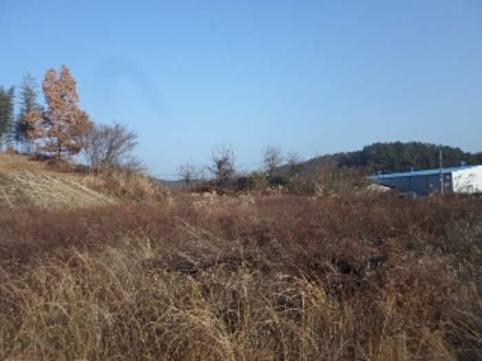 동산리 16외 전경