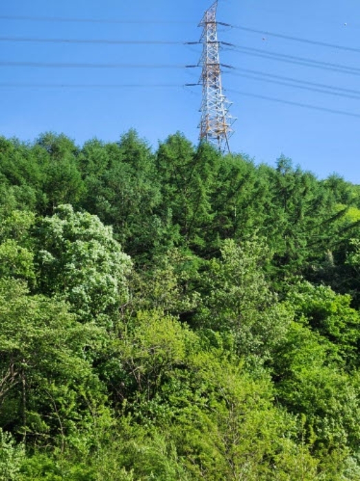 목록1. 우고리 산55 전경(송전탑 전경)