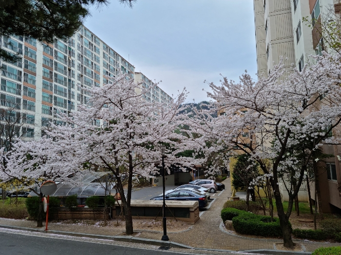 단지전경