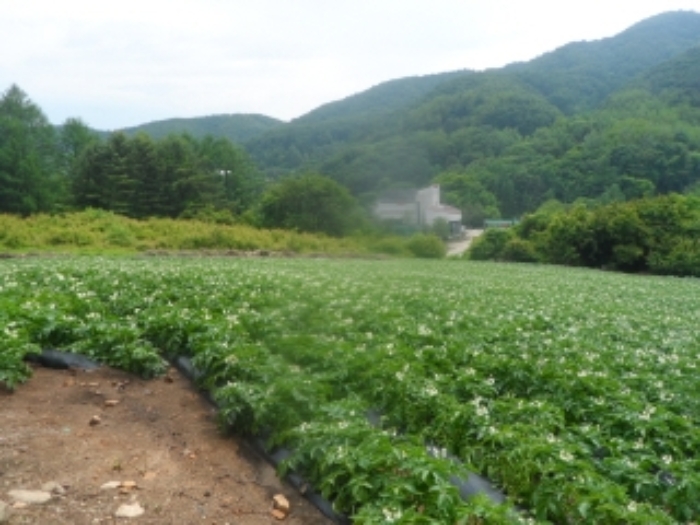 기호 2번 근거리에서 촬영한 것임