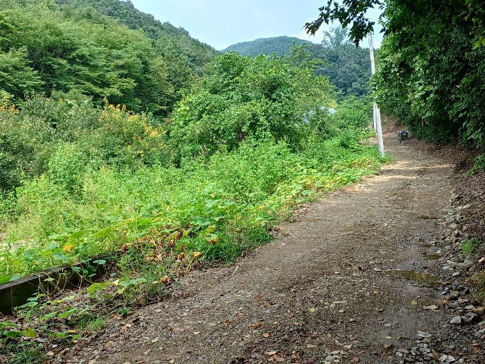 농림지역에 접근 가능한 도로 현황