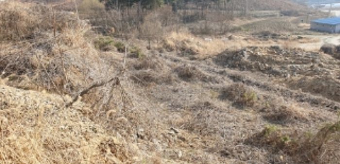 23번 부동산 및 주변 모습