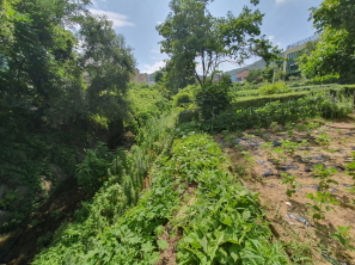 현장사진(추자동 395-6, 395-9 하천부근)