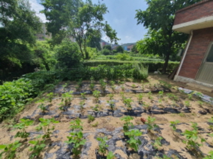 현장사진(추자동 395-6, 395-9 하천부근)