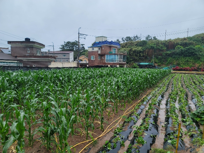 본건 전경