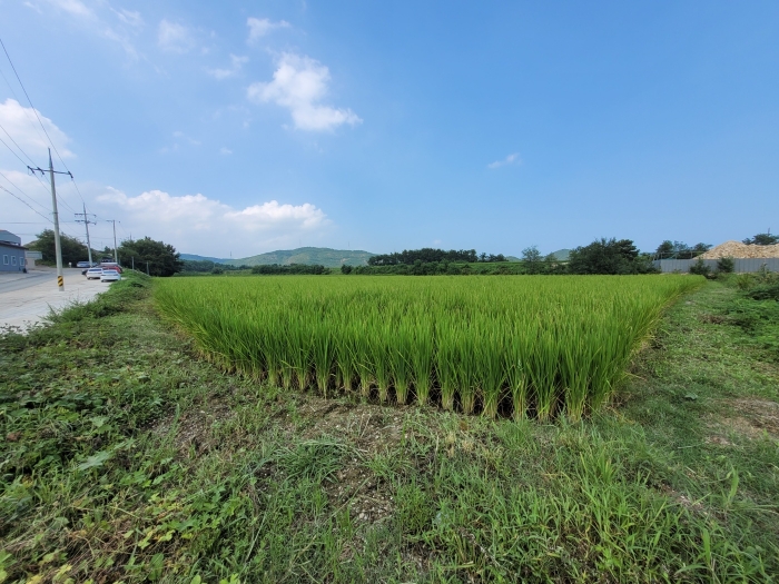 본건전경