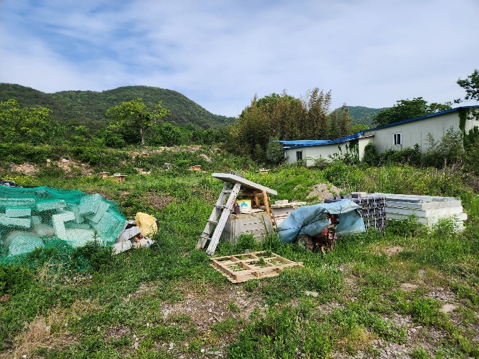 기호 6) 전경