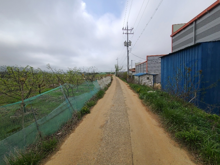 본건 동측 접면 도로