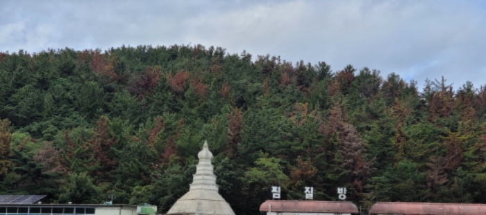 약목면 관호리 산 26-17 전경 (원거리)