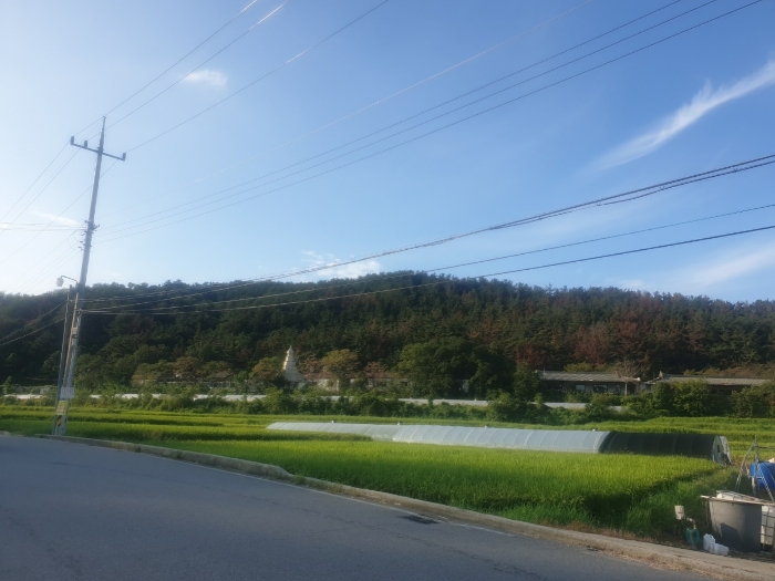 본건 기호(2) 남동측 원경