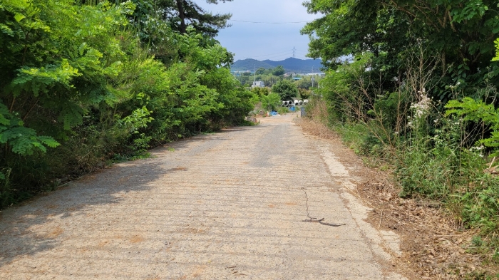 일련번호(8),(9) 전경