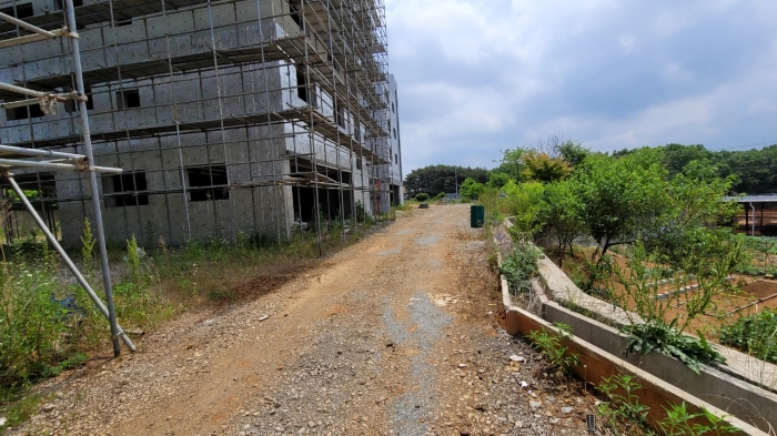 일렵련번호(11),(12) 전경1