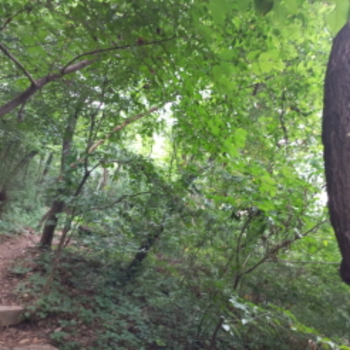 본 건 부동산 뒤편 전경